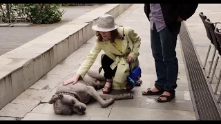 Trailer de Claire's Camera — La caméra de Claire subtitulado en inglés (HD)