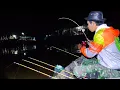 Download Lagu Mancing malam hari banyak dapat strike udang dan ikan