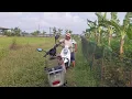 Download Lagu Emak Bingung Nyari Bapak ‼️Padahal Sudah Di Bawakan Sarapan