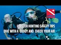 Dive with a buddy and check your air - DAN lobster mini season safety tip