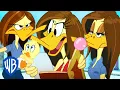 Download Lagu Looney Tunes | The Fiesty Tina Russo | WB Kids