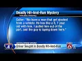 Deadly hit-and-run in Volusia County s say