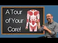 Get to know the muscles in your core