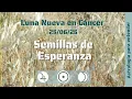 Download Lagu Semillas de esperanza / semillas de justicia. Luna Nueva en Cáncer. 25706/25.