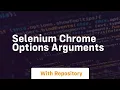 selenium chrome options arguments