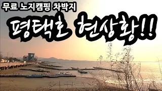 봄에 꼭 가봐야할 평택호 현상황!! 캠낚이 가능한 무료 노지캠핑 차박지 썸네일