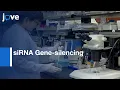 Download Lagu Nanoparticle-mediated siRNA Gene-silencing in Heart | Protocol Preview