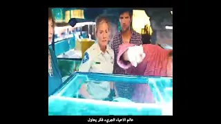 ملخص فيلم Piranha 3D 2010 السمكة المتوحشة 