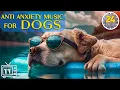 Download Lagu 24 Hours of Anti Anxiety Music for Dogs: Cure Separation Anxiety with Dog Music \u0026 Dogs Calming Music