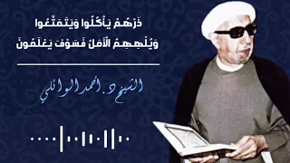 الدكتور أحمد الوائلي (رحمه الله) ذرهم يأكلوا ويتمتعوا ويلههم الأمل فسوف يعلمون