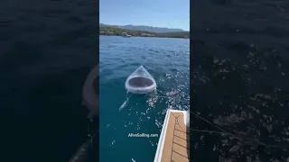 #solarstill #watermaker #seasurvival #sailing