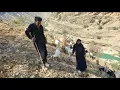 Lagu 🌄 A beautiful day in the Zagros Mountains | Nomadic family grazing sheep by the Khersan River 💧
