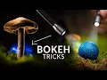 Creating Dreamy Macro Backgrounds with Light