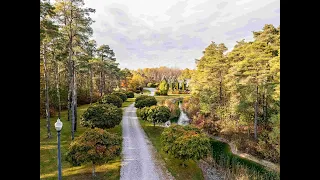 7262 Sideroad 15 Instagram Resolution
