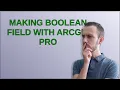 Making Boolean field with ArcGIS Pro