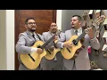 Sin Ti    Trio Tres en Punto