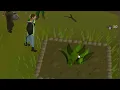 Is herb farming worth it Loot from 100 ranarr seeds