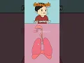 Download Lagu Batuk