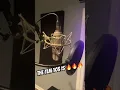 Download Lagu The Neumann TLM 103 is one of the best microphones ever made 🔥🔥🔥 #bolodaproducer
