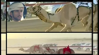 ميحد حمد إعمار 