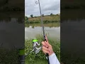 Download Lagu Shimani nasci 5000xg #fishing #fish #bassfishing #shimano