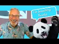 Download Lagu How To Really Say HELLO In BRITISH ENGLISH 🇬🇧