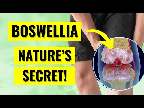 Boswellia Serrata: Arthritis & Health Benefits