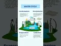 Water cycle Evaporation condensation precipitation and collection