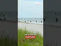 16-year-old swimmer dies after being pulled from rough waters near Naples beach