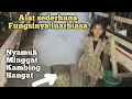 Download Lagu PENTINGNYA PENGASAPAN DI KANDANG KAMBING||ALAT BEDIANG ANTI NYAMUK.