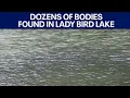 Over 3 dozen bodies found in around Lady Bird Lake since 2022 FOX 7 Austin