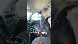 #fyp #pets #doberman #dream #boat