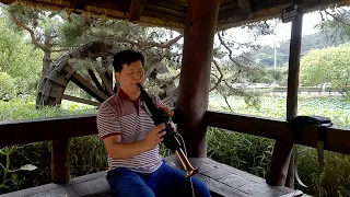 님은 먼 곳에 김추자 내두로 선암호수공원 연꽃물레방아 나미애 장사익 조관우 이찬원 김태연 Yds150 