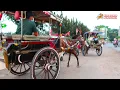 Download Lagu 🐴 LAGU SUNDA NAIK DELMAN NAIK DELMAN TERNYATA SERU DAN NYAMAN SUARA | Kuda Delman Purbalingga