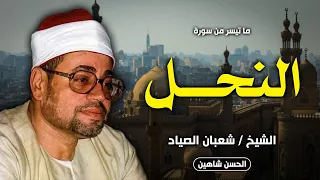 فجر تاريخي عظيم من مسجد الحسين        النحل   الشيخ شعبان الصياد   جودة حصرية دندنها