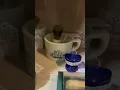 Vintage Old Spice with shaving mug