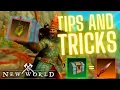 New World - BIS Tips and Tricks