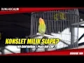 Download Lagu Milik SIapa Love Bird KONSLET Nomor 7?