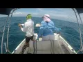 Download Lagu BEAST of a Cod | Slow pitch jigging | Ocean Legacy Slow Element PE3 | Highly rated fishing rod