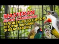 Lagu MASTERAN PETULAK JINGJING TENGKEK BUTO PELATUK BAWANG KAPAS TEMBAK DAN GEREJA TARUNG JAWARA LOMBAHAN