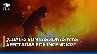 Incendios forestales en Colombia arrasan cultivos y bosques: así enfrentan la emergencia