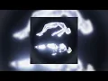 aeao - dynamicduo (slowed + reverb)