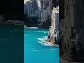 Download Lagu Mountain Goat Leaps from Cliff into Ocean