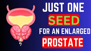 Download Only One Seed To Shrink Prostate: The Power of Pumpkin Seeds | Health Miracles MP3