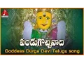 Lagu Vijayawada Kanaka Durga Telugu Songs | Panduga Vachinadi Devotional Song | Amulya Audios and Videos
