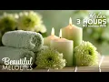 Healing Sleep Music Relaxing Spa Music with Nature Sounds Meditation Calm the Mind Deep Sleep