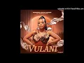 Lagu MaShandu, Dlala Thukzin, J4soul, Sfundo - Vulani