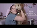 A Day in The Life of My Goldendoodle