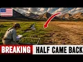 SCIENTISTS Counted PLANTS For 9 YEARS In A DYING Colorado BASIN HALF The RESULTS Shocked Them