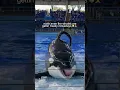 Download Lagu Freaky ahh whale 😭
